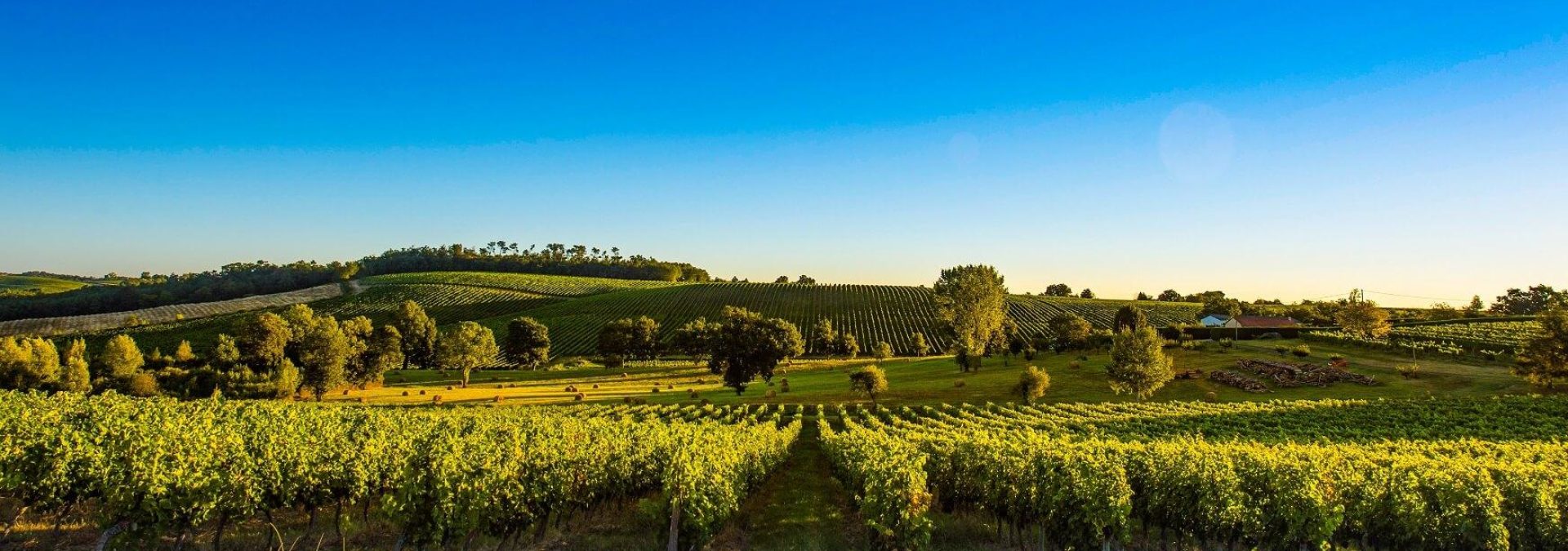 Château Moncets & Chambrun