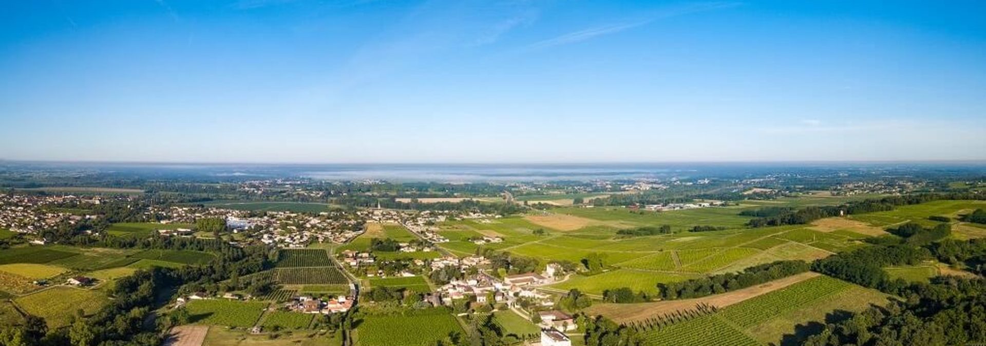 Château Guiraud, 1er Grand Cru Classé