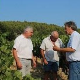 Gilles Véve, Michel Bezert, Philippe Delebecque