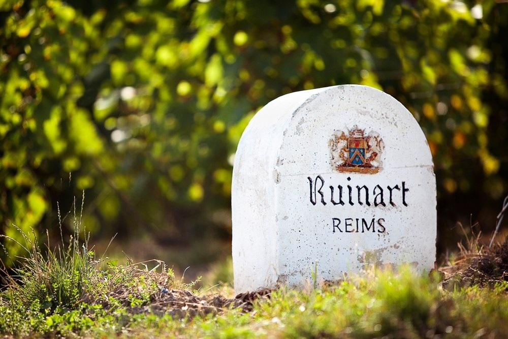 Vignes Ruinart