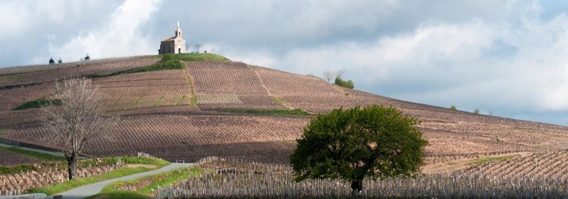 Domaine de La Madone