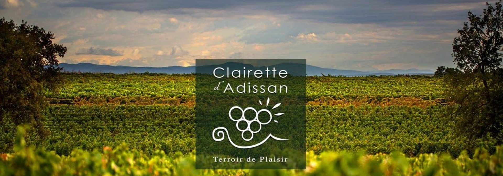 La Clairette d’Adissan