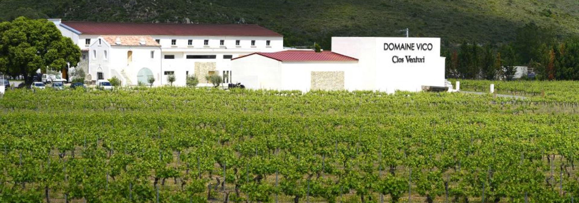 Domaine Vico / Clos Venturi