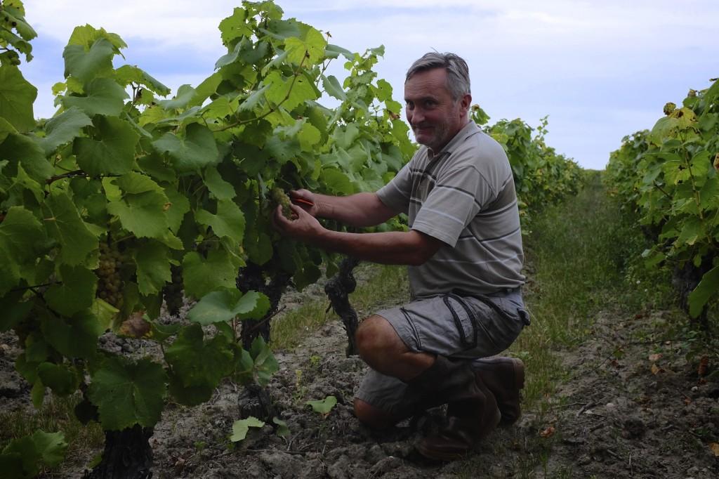 Gérard Vinet