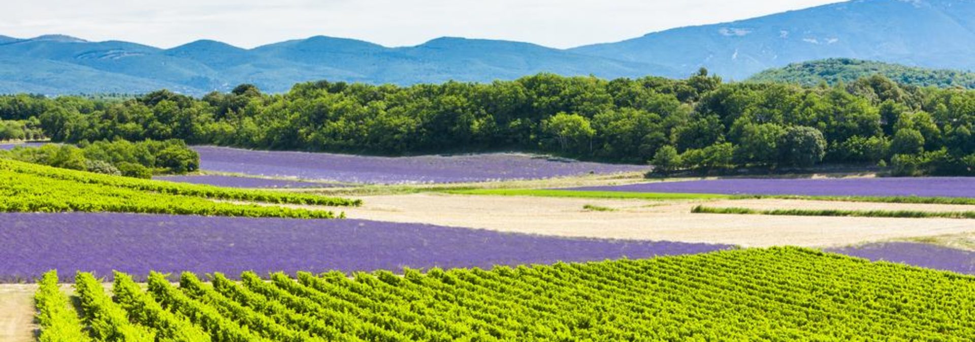 Domaine de Ramatuelle