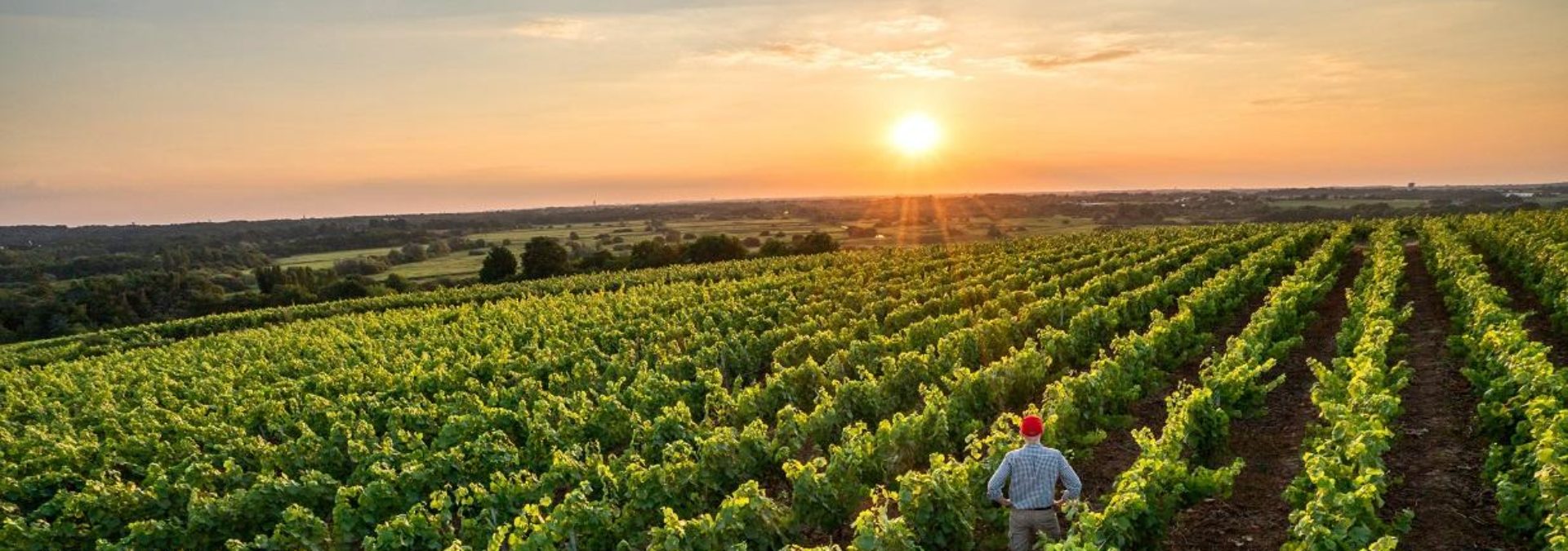 Domaine la Bouscatière