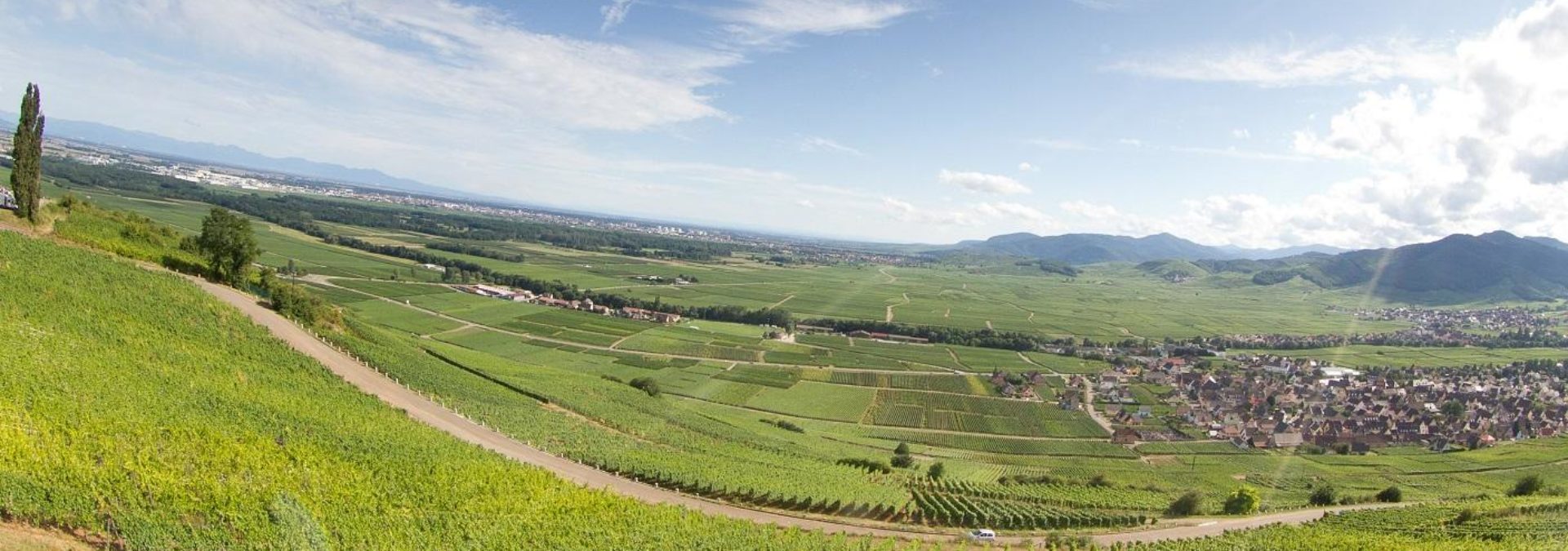 Domaine André Régin