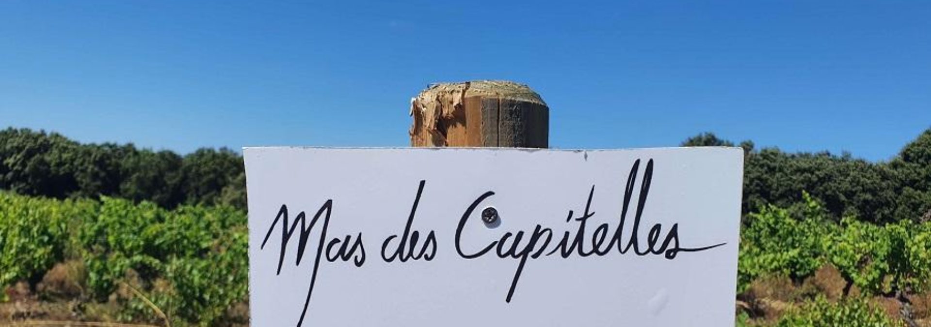 Mas des Capitelles