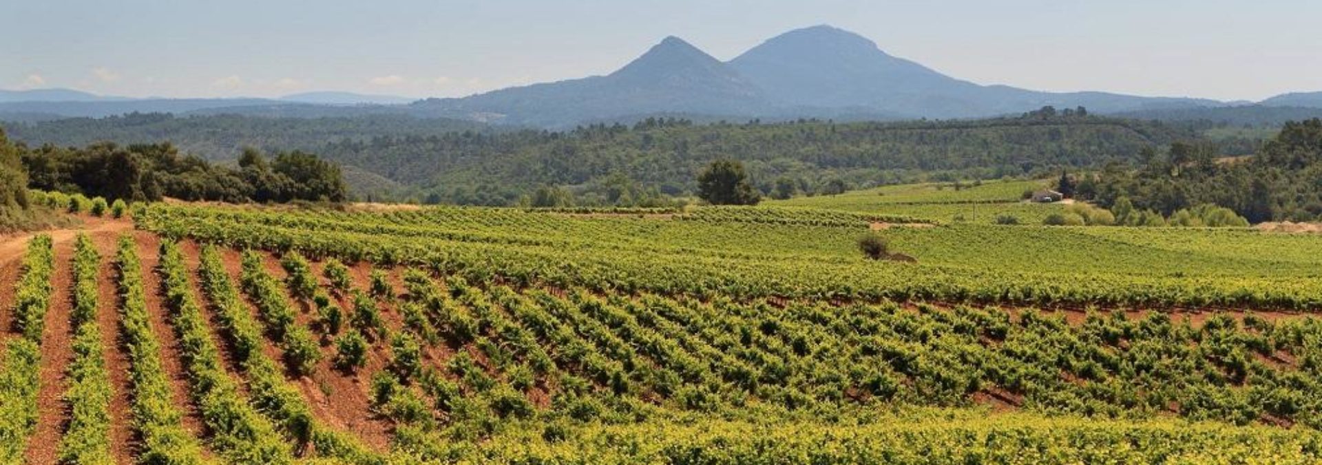 Domaine de Cantarelle