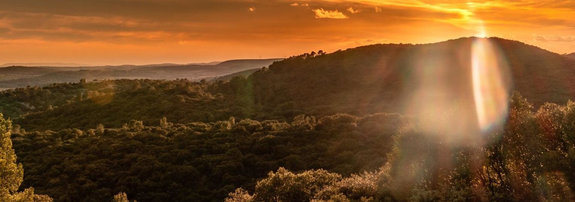 Domaine de Larzac