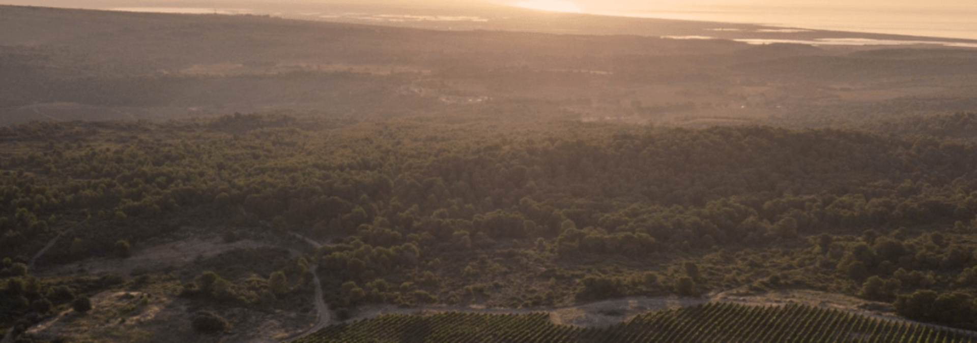 Château Camplazens – AOC La Clape