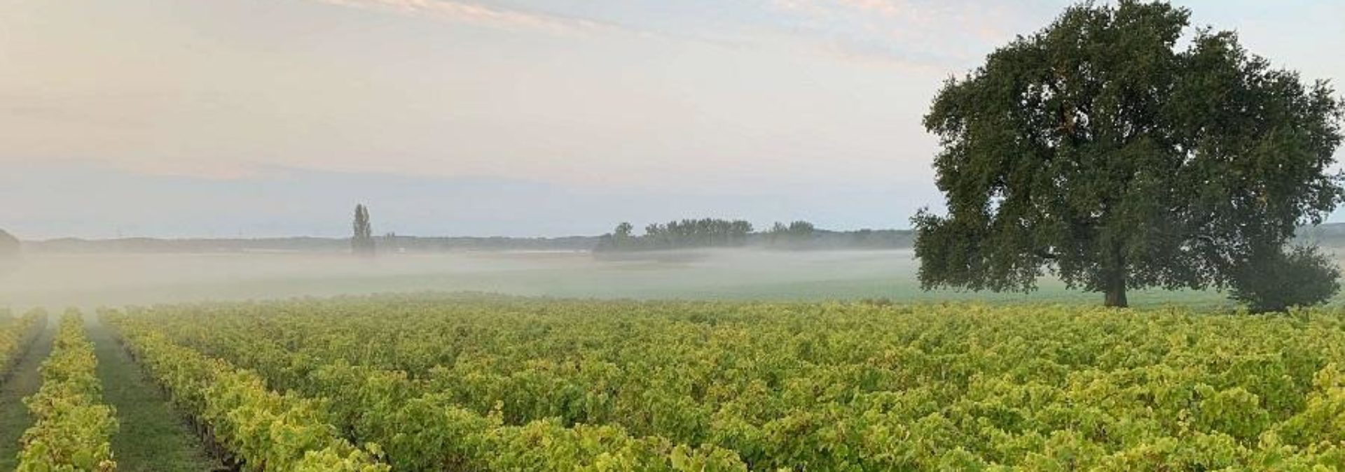 Domaine du Chêne