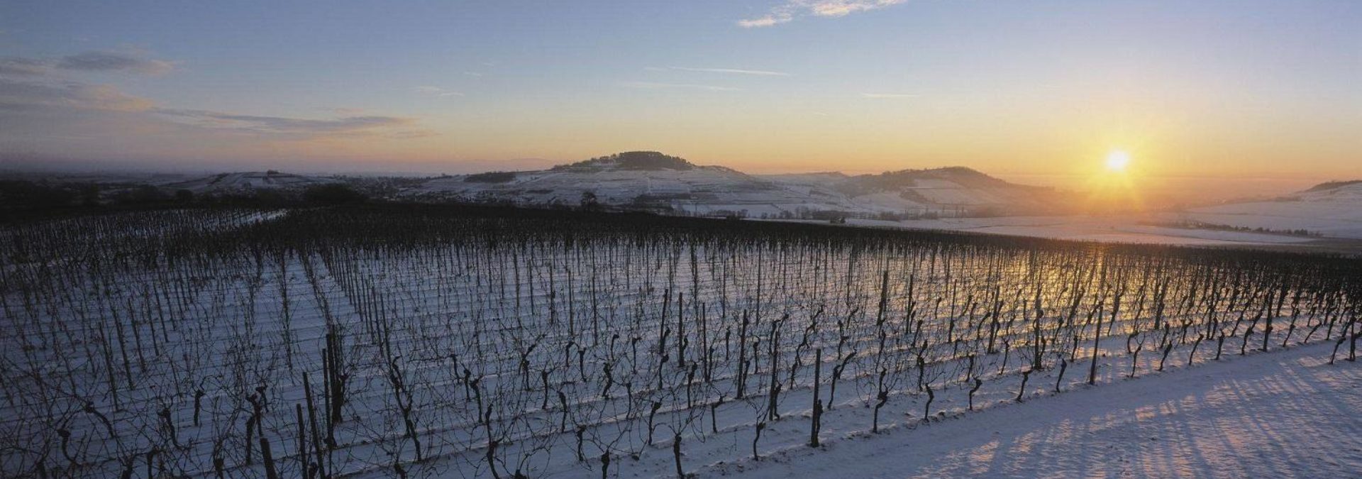 Domaine Frédéric Mochel