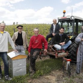 LES VIGNERONS DU BRULHOIS