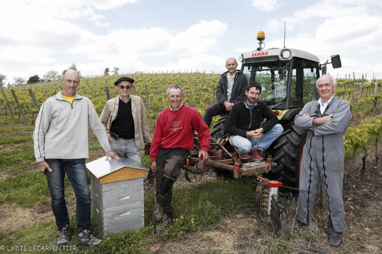 LES VIGNERONS DU BRULHOIS