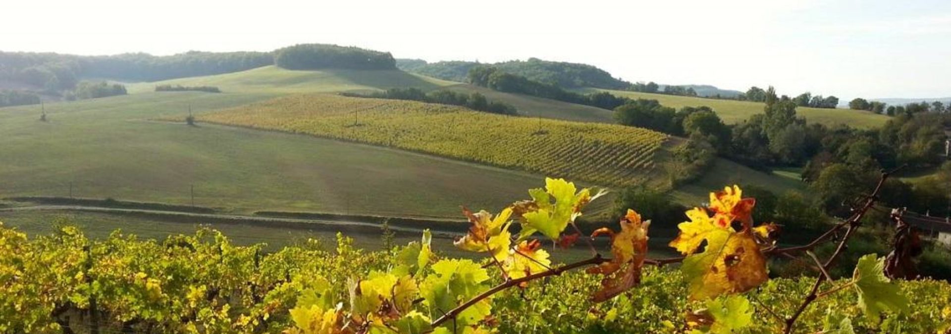 Domaine de Herrebouc