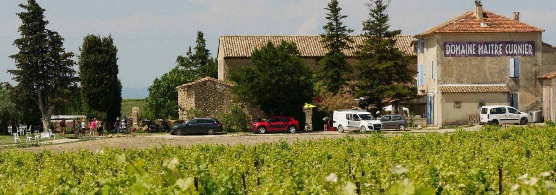 Domaine Maître Curnier