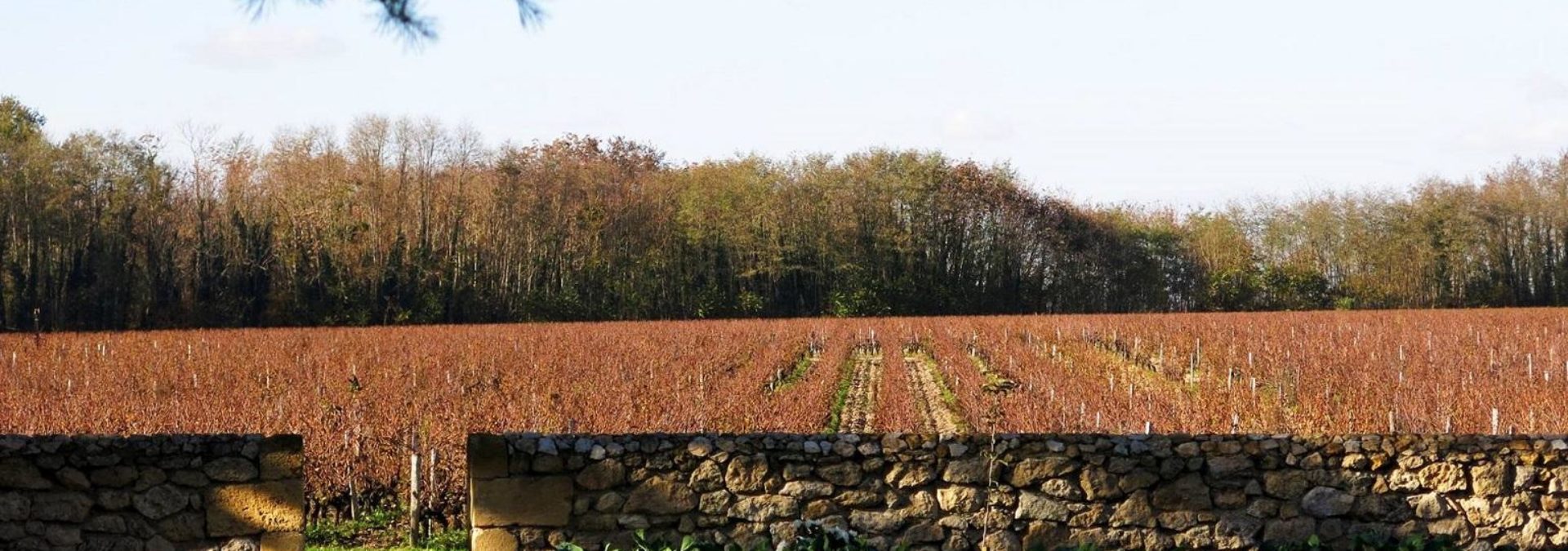 Château de Chantegrive