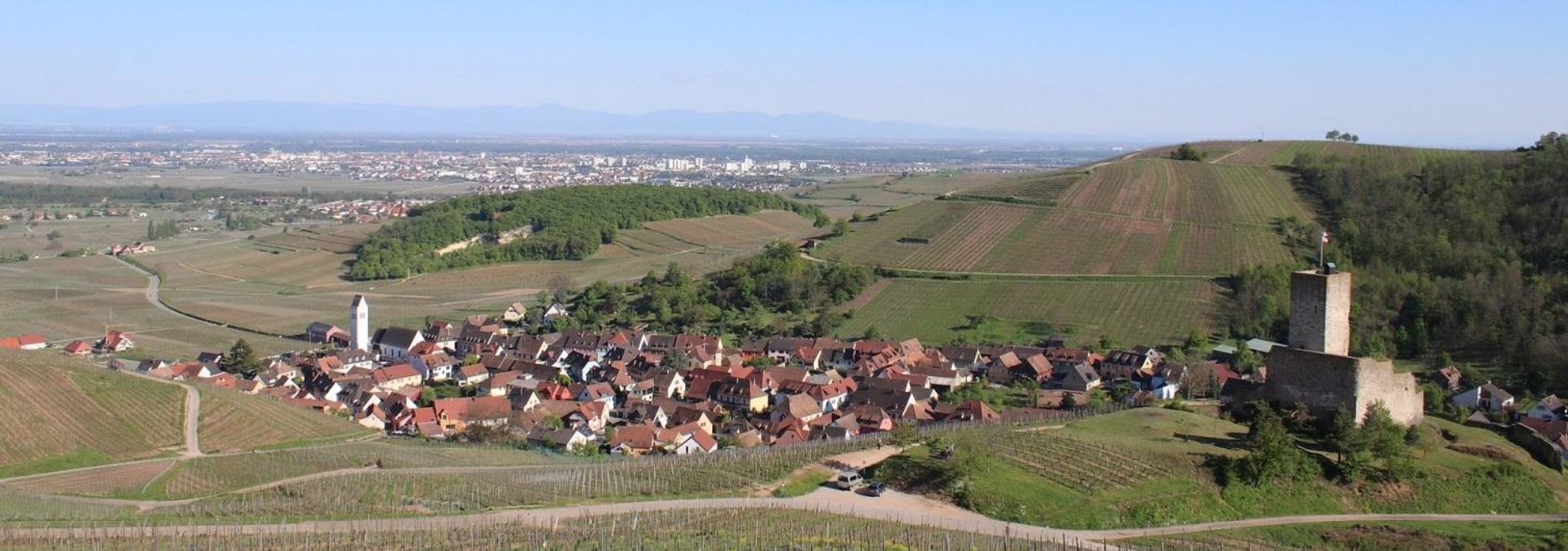 Domaine Meyer-Fonné