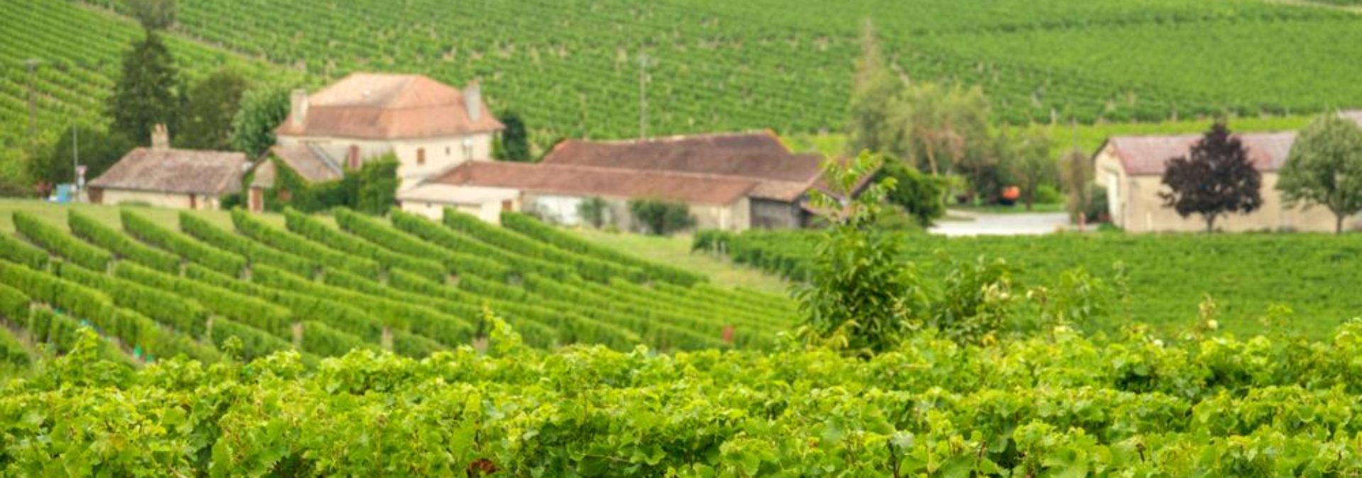 Domaine de l’écrivain