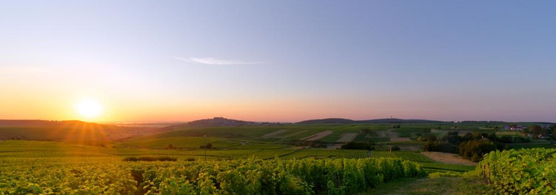 Domaine des Coteaux blancs