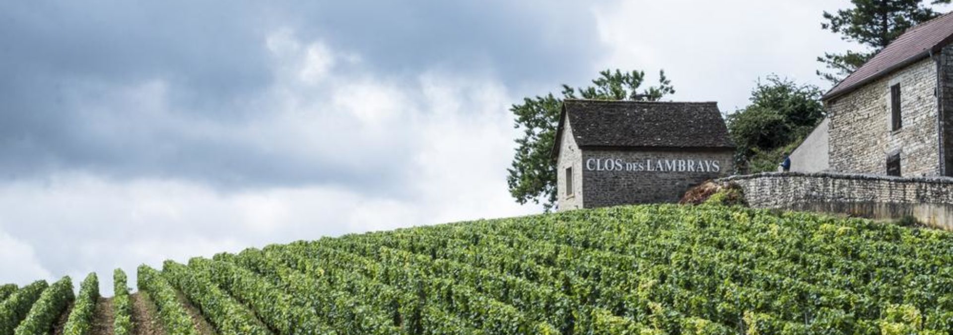 Domaine des Lambrays