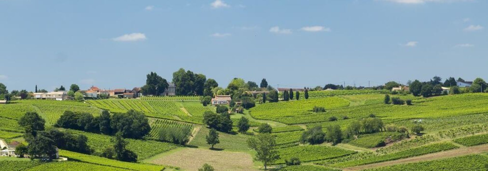 Château Carbonnieux