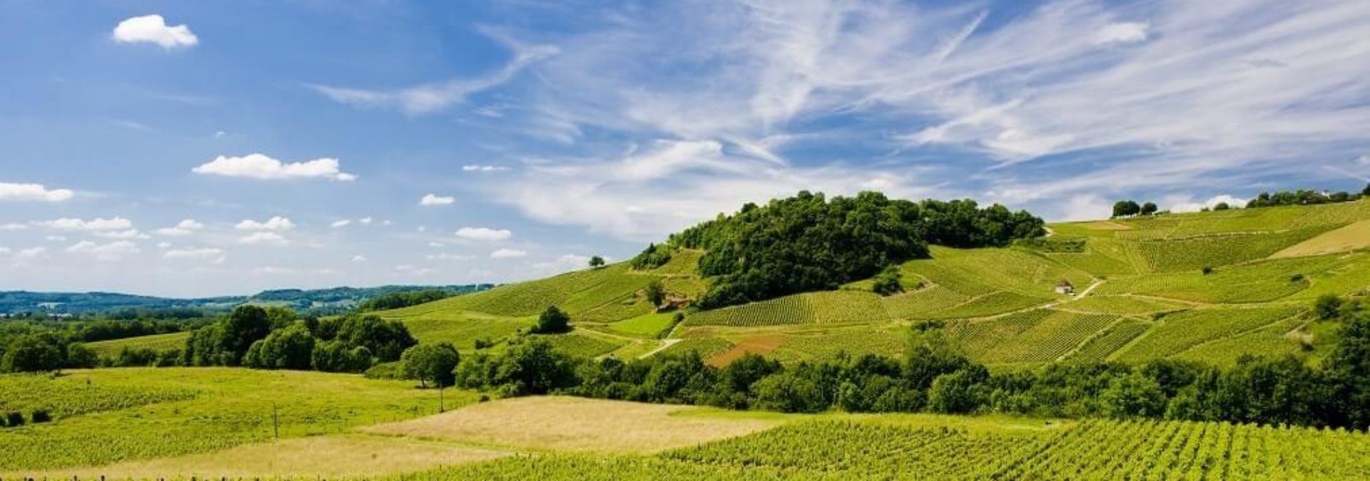 Domaine Frédéric Lornet