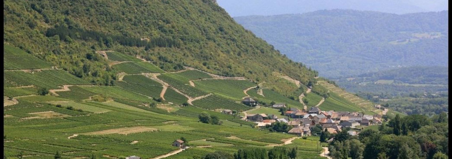 Vignoble de la Pierre