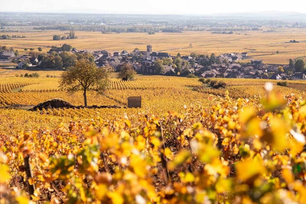 Bourgogne, Pommard
