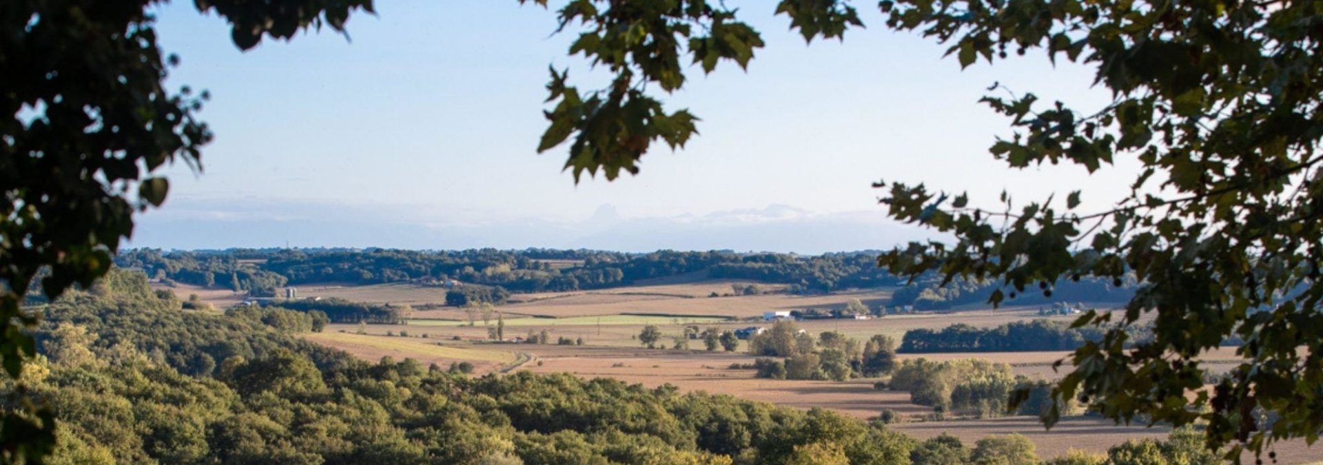 Cave des Vignerons de Tursan-Chalosse