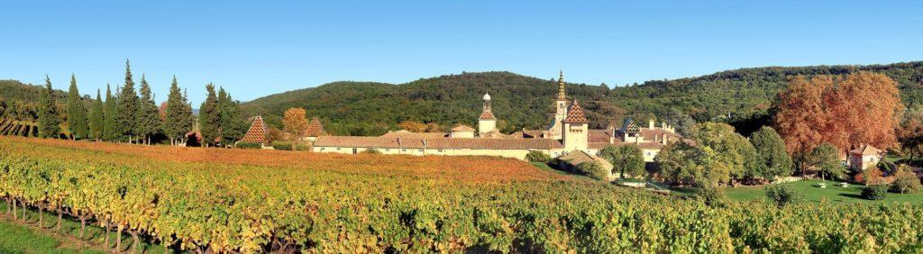 Vignes en Occitanie