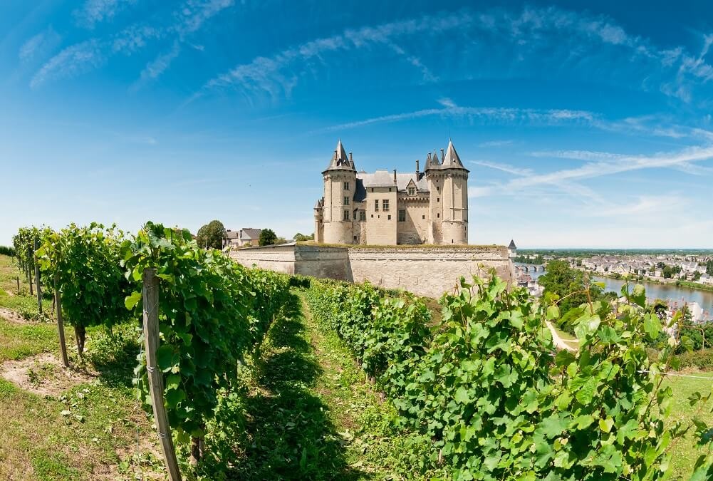 Vignes_Val de Loire