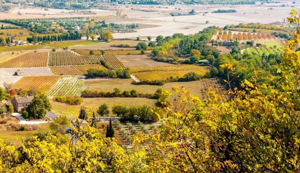 Vignoble en Provence