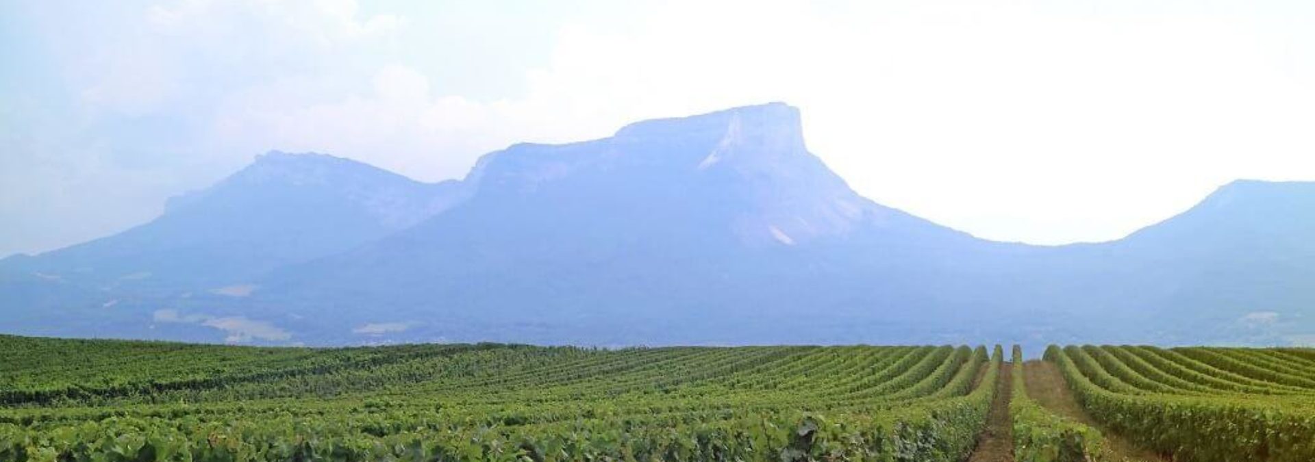 Domaine Adrien Veyron et Fils