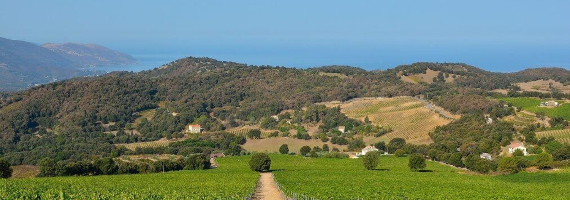 CLOS D’ALZETO