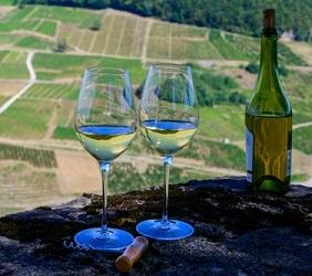 Côtes du Jura Vin Jaune, Domaine du Tausson