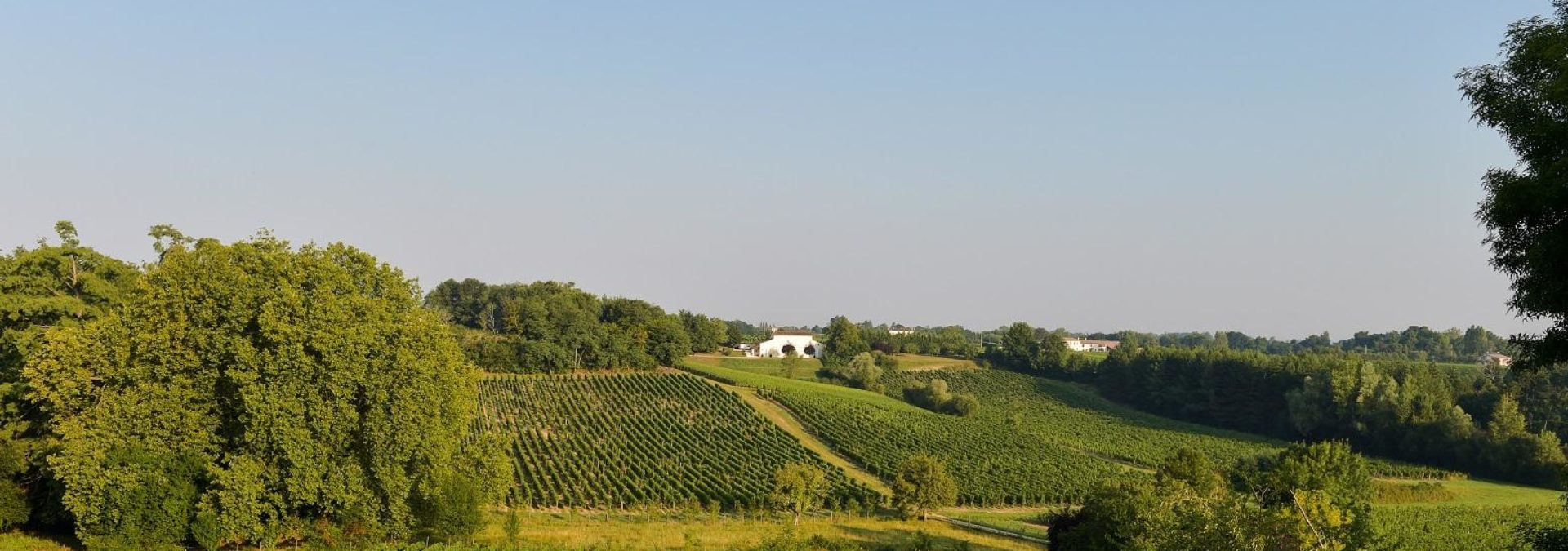 Domaine du Tariquet