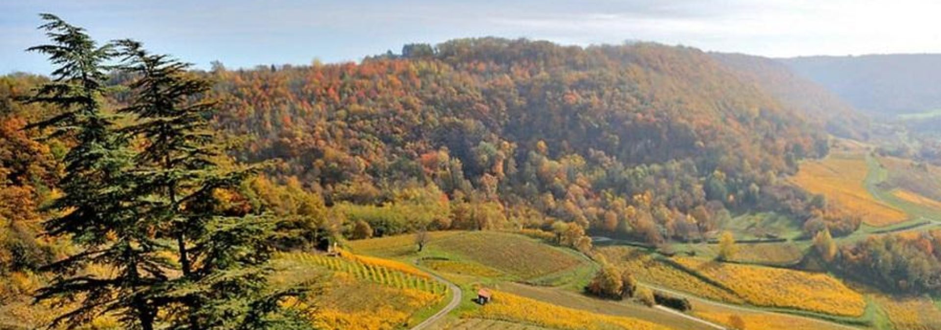 Domaine Jean-Claude et Annie Credoz