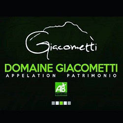 Famille Giacometti