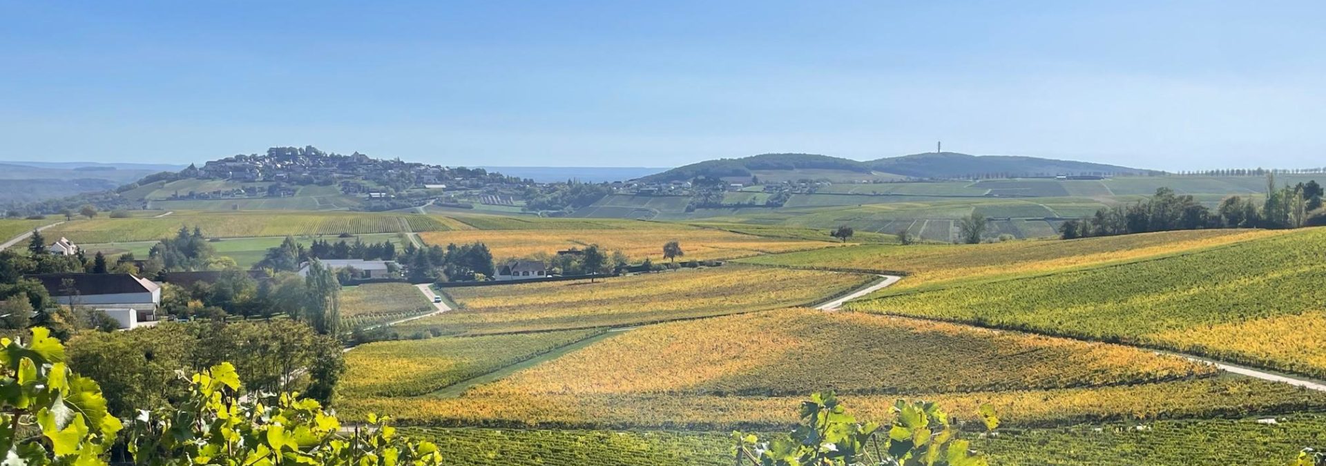 Domaine de la Villaudière – Jean Marie REVERDY & Fils