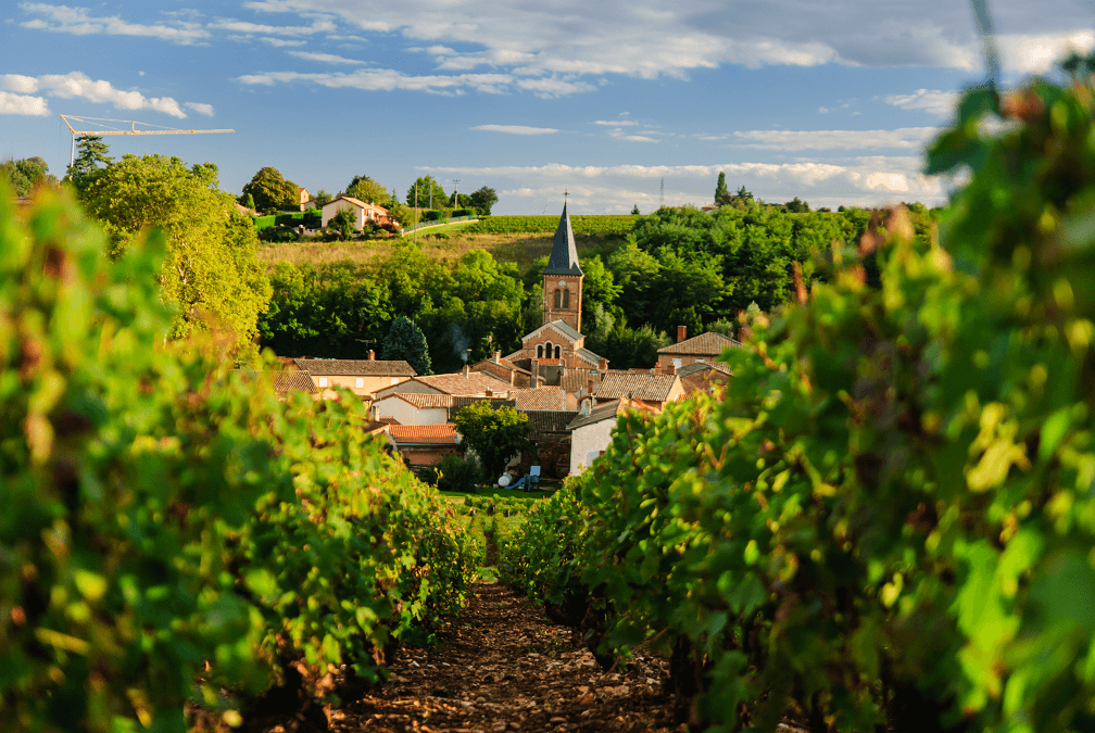 Vignoble Beaujolais