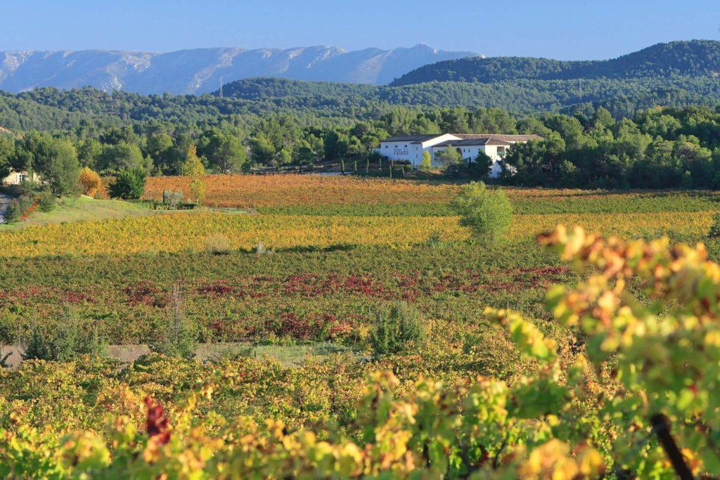 Château-paradis