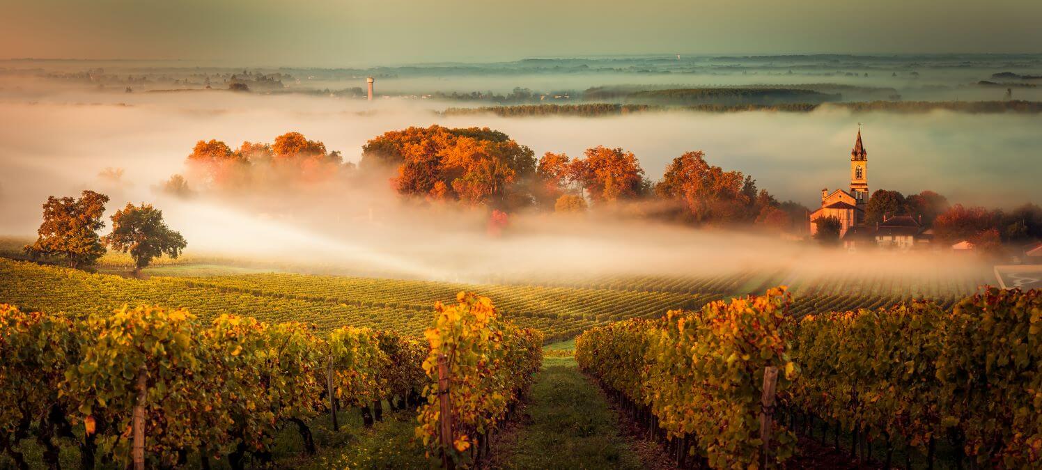 Vignoble Bordeaux