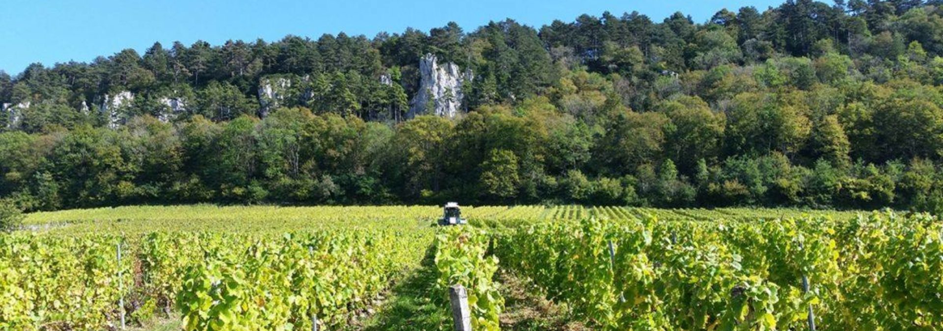 Domaine les Monts Martin