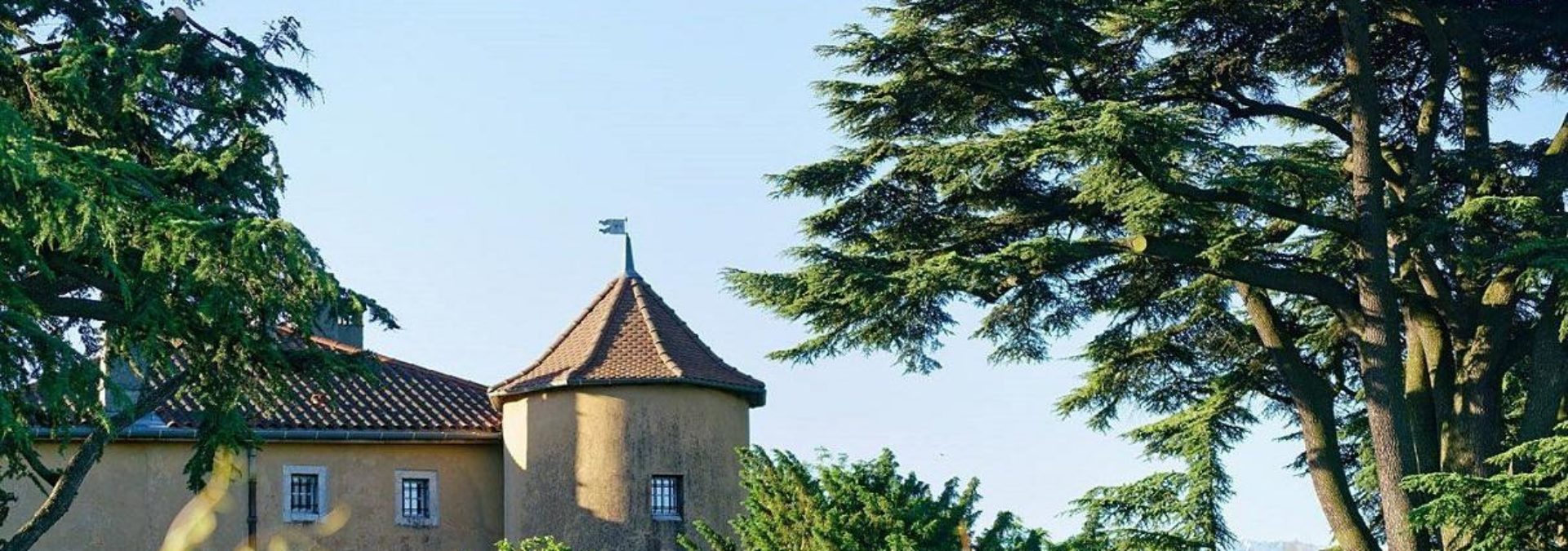 Château de la Violette