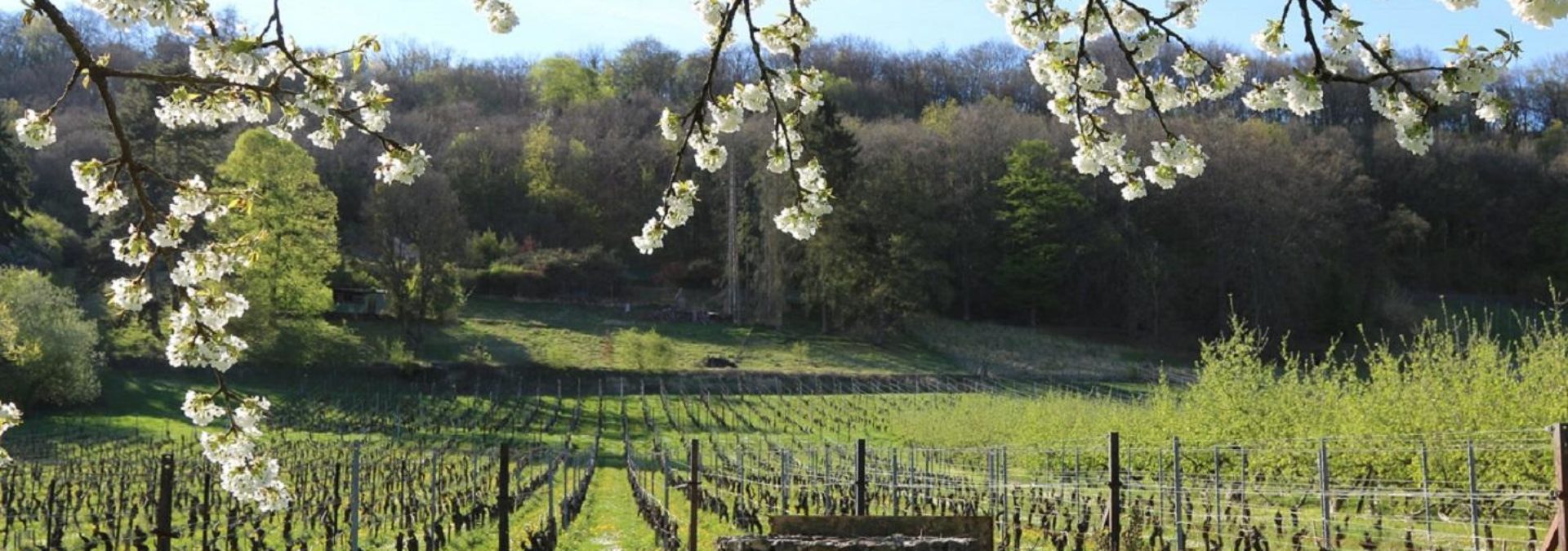 Domaine les Béliers