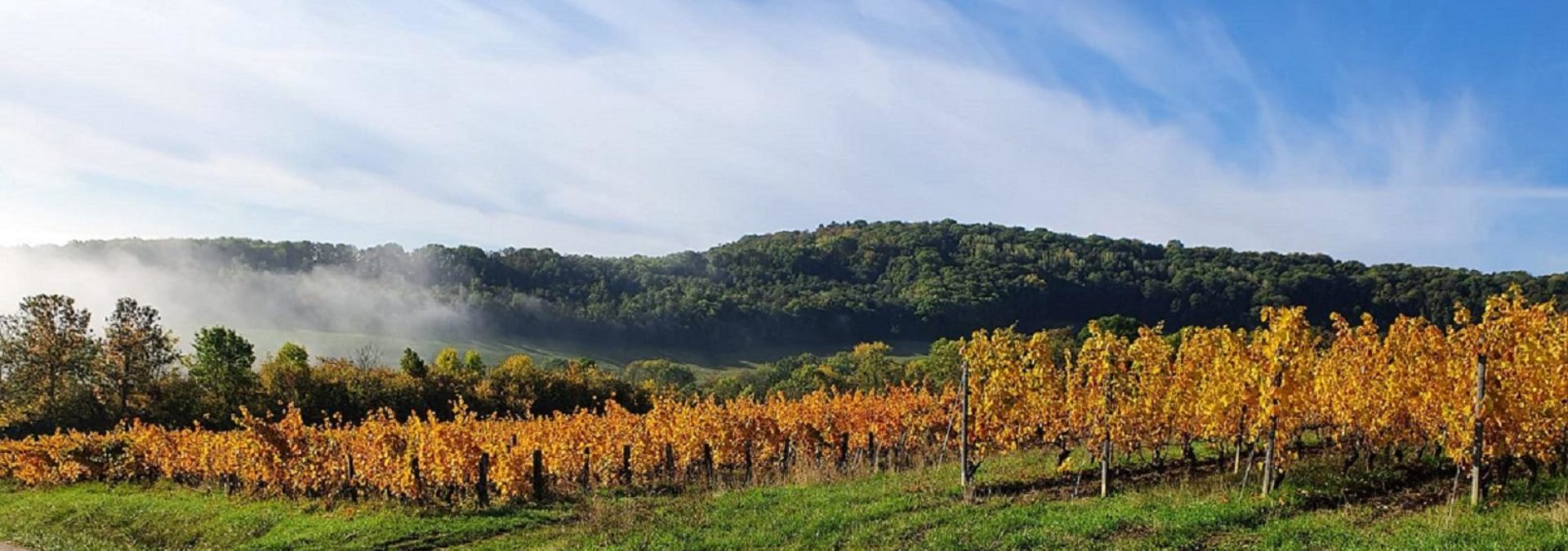 Domaine Oury Schreiber