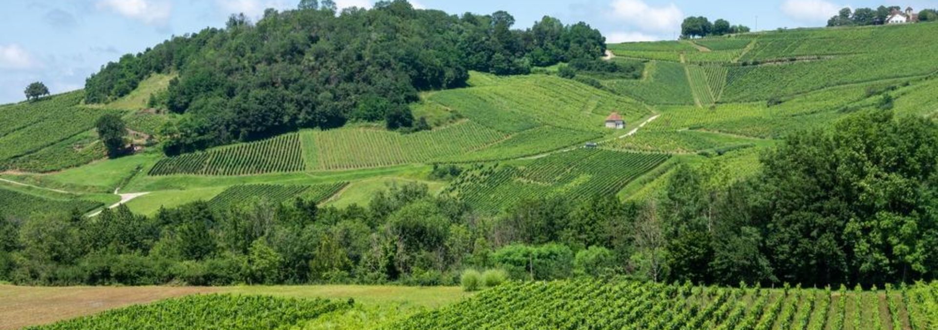 Domaine Pêcheur