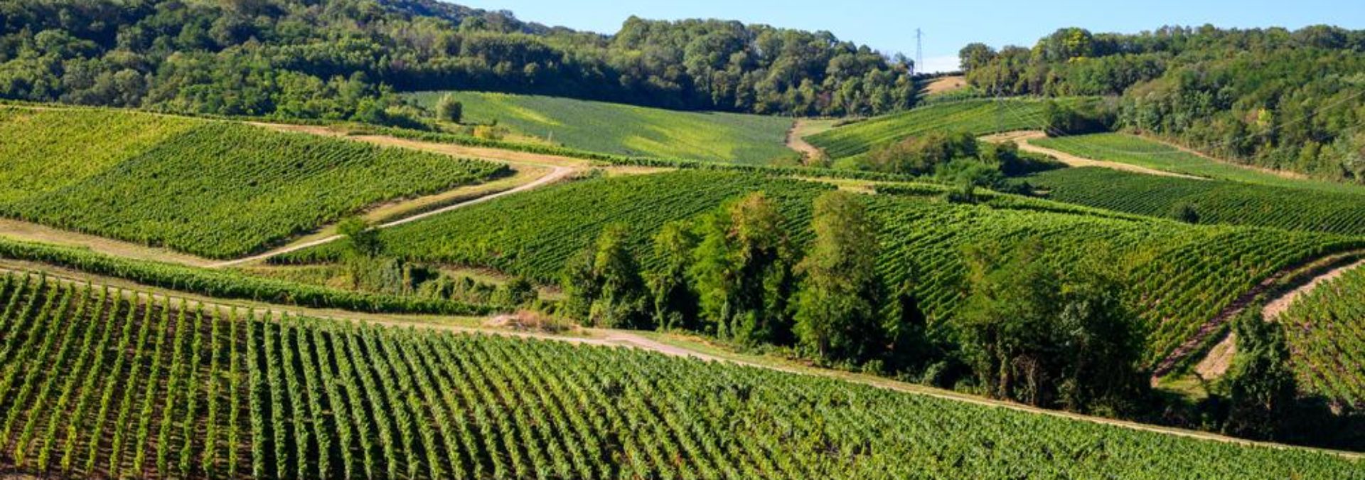 Domaine Jean-Luc Mouillard